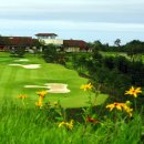 파인밸리골프클럽 이미지