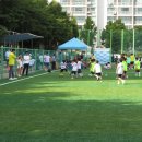 비룡합기도체육관 이미지