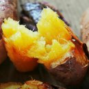 피트니스 메카 이미지