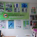 운동화 구두 이불 빨래방 이미지