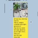 숲속아침 이미지