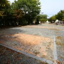 고산자연휴양림 캠핑장 입구 이미지