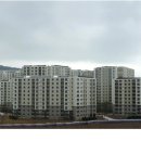 세곡-114 이미지