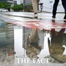 [오늘의 날씨] 목타는 강릉에 단비…낮 최고 대부분 30도 아래 이미지