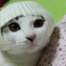 클레오파트라패션