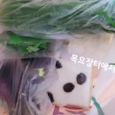 명화로 배우는 미술사 이미지