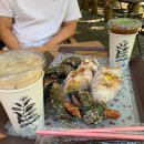 마이야르 이미지