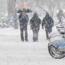 Pet stay 1455 A 이미지