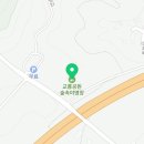 남원시청교룡공원숲속야영장