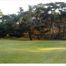 스터디독스쿨 이미지