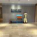 강원도노래연습장 | [강원도] 홍천 소노펫비발디파크 스위트파크뷰+조식