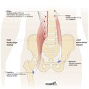 CM Fitness 이미지