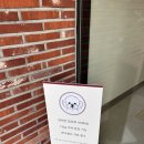 왓숑 | 대구 애견카페 왓숑프리제 방문후기
