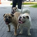 개린이날 이미지