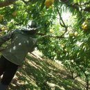 한별농장 이미지