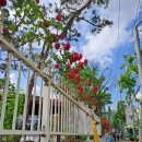 행복중심용산생협 이미지