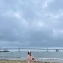 오예감