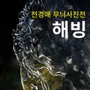 무늬에 이미지