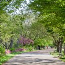 명신관광 이미지