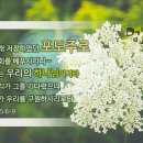 눅 22:18 하나님의 나라가 임할때까지는 천국 갈때까지 유월절 안지켜도 된다? - 하나님의 교회 이미지