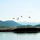 신평나들목식당 | [펌] 전남 '강진 2'-강진만(겨울)