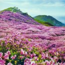 [번개 산행] 4월 26일 일요일 날씨 맑음, 합천 황매산 (총 약 14k) 이미지