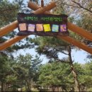 태학산자연휴양림 네이버블로그