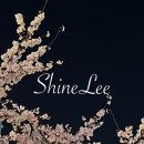 효자수퍼 | [보령] 충남 가볼 만한 곳 오천면 효자도 몽돌해변 국내 섬 여행 후기