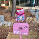 가까운 새서울약국 이미지