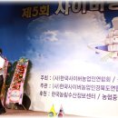 복드림 Daum카페
