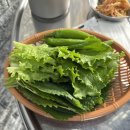 [청주 용암동] 소주가 3,500원인 막고기 맛집 “인생고깃집” 용암점 방문 후기