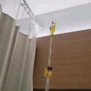 연세 안정우의원 이미지