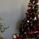 빅파인트리하우스 이미지