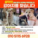 🆘🆘8/3-8/4 설악이 연합수색🆘🆘 이미지