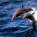 현대안경 이미지