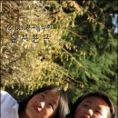 의곡초 일부분교 이미지