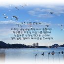 여수 수변공원에서 이미지