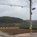 영해버스터미널 이미지