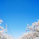 보령화원 - 중구 퇴계로 217 | 보령화원