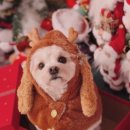 데이, 멍 이미지