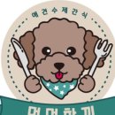 멍멍한끼 이미지