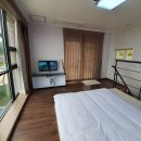 카누720애견풀빌라 네이버블로그