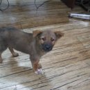 연서 동물병원 이미지