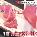 원참치 이미지