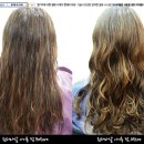 원더파마