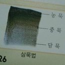 아미헤어 - 성남시 분당구 분당로53번길 10 | 아미헤어