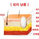 장미꽃과나이팅게일외과의원 이미지