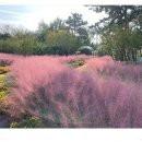 신흥근린공원 이미지