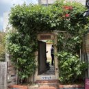 다원 | 대구 반월당 찻집 약령다원 후기