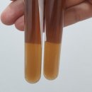 연춘당한의원 이미지